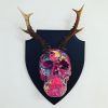 Mounted Antler Skull by Haus of Skulls