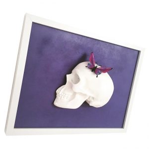 Handmade 3D Butterfly Skull Frame by Haus of Skulls