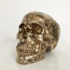 Gold Marble Skull by Haus of Skulls