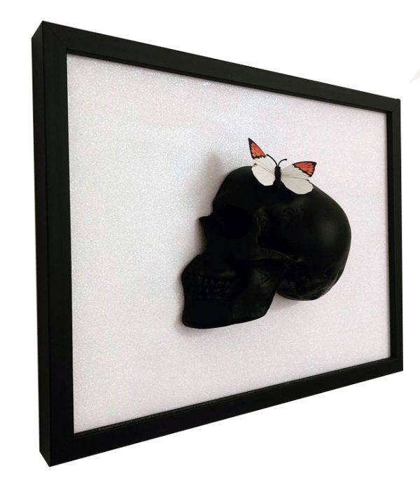 Handmade 3D Butterfly Skull Frame by Haus of Skulls