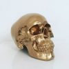 Gold Handmade Skull by Haus of Skulls