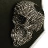 3D Skull Frame with Silver Rhinestone Skull