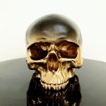 Half Ombré Skull by Haus of Skulls