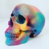 Rainbow Splatter Skull by Haus of Skulls