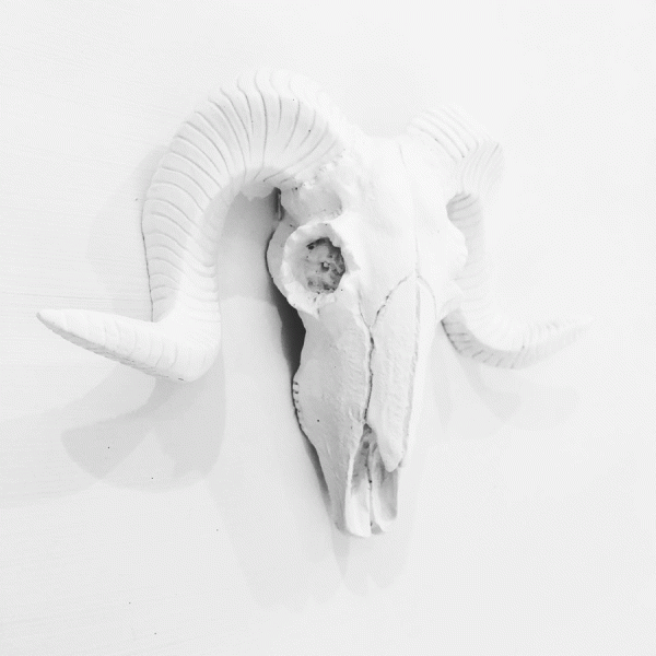 Handmade 3D Ram Frame by Haus of Skulls