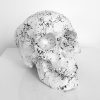 White Marble Skull by Haus of Skulls