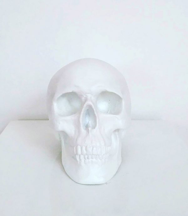 White Handmade Skull by Haus of Skulls