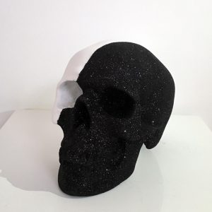Two Tone Skull by Haus of Skulls