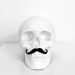 Mr Skull by Haus of Skulls