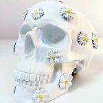 Daisy Skull