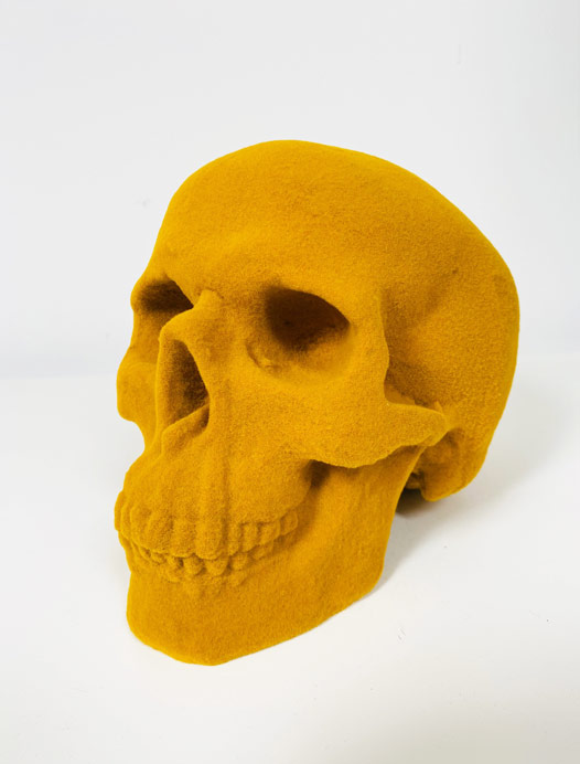 Mustard Flock Skull