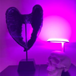 Neon Halo Skull Lamp